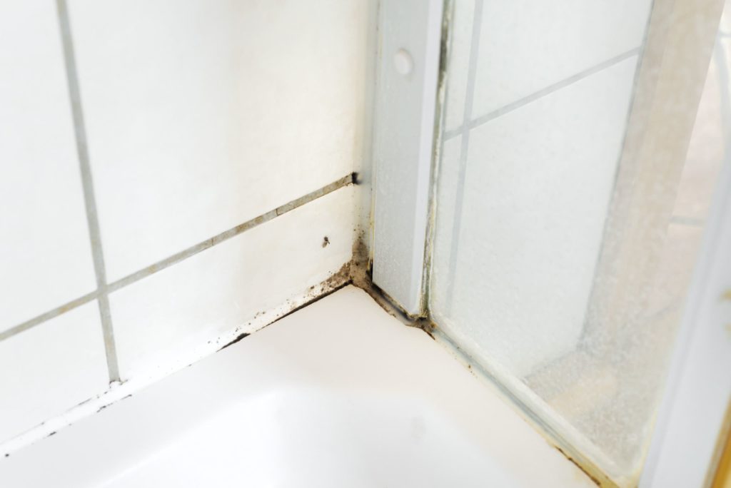 Tenant Fact Sheet Managing Condensation Dampness And Mould In Your Home Searms Community